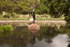 By Myrtle Beach: Brookgreen Gardens