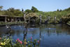 By Myrtle Beach: Brookgreen Gardens